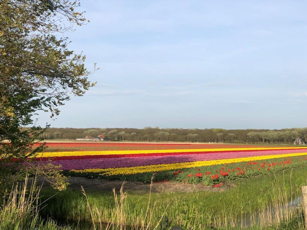 Sint MaartensvlotbrugMeno Mosso别墅 外观 照片