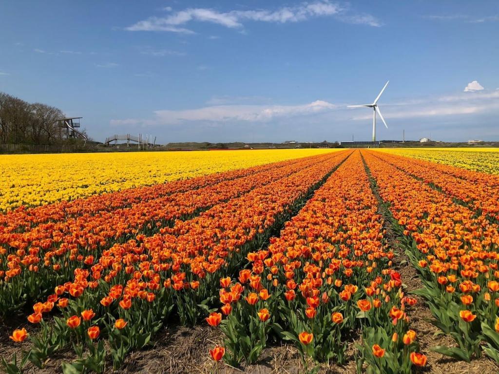 Sint MaartensvlotbrugMeno Mosso别墅 外观 照片